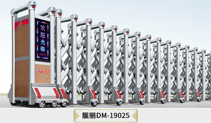 DM-19025.jpg